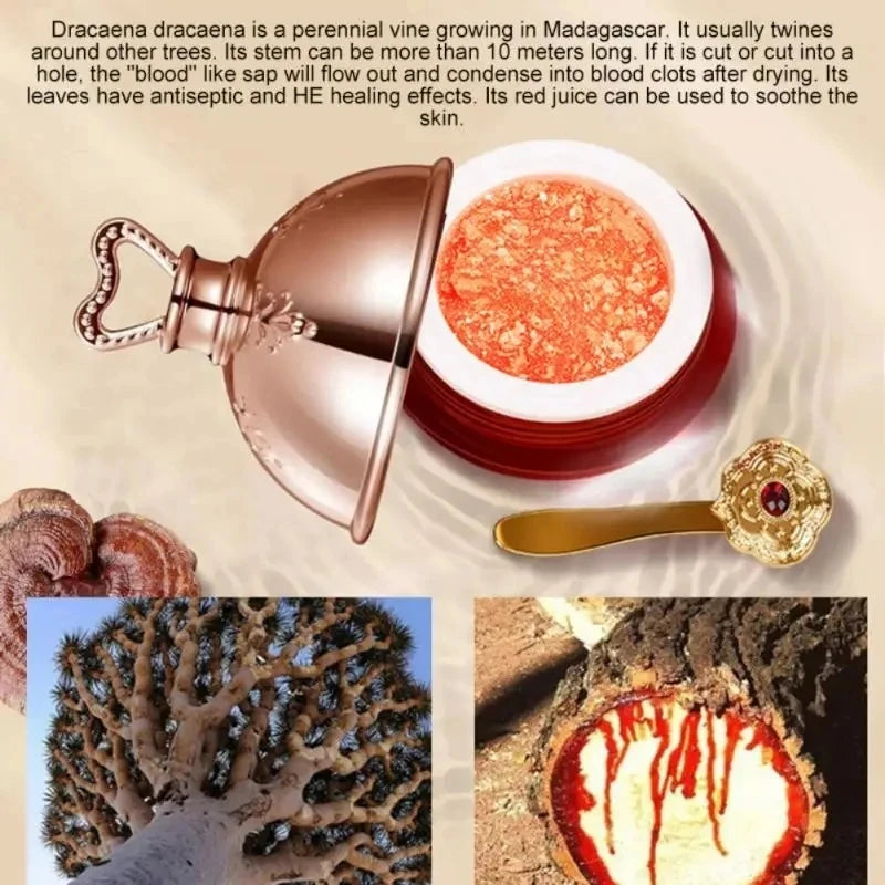 Dragon’s Blood Cream – Firm & Radiant Skin
