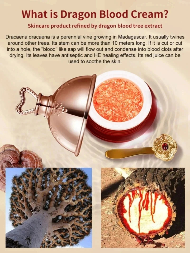 Dragon’s Blood Cream – Firm & Radiant Skin